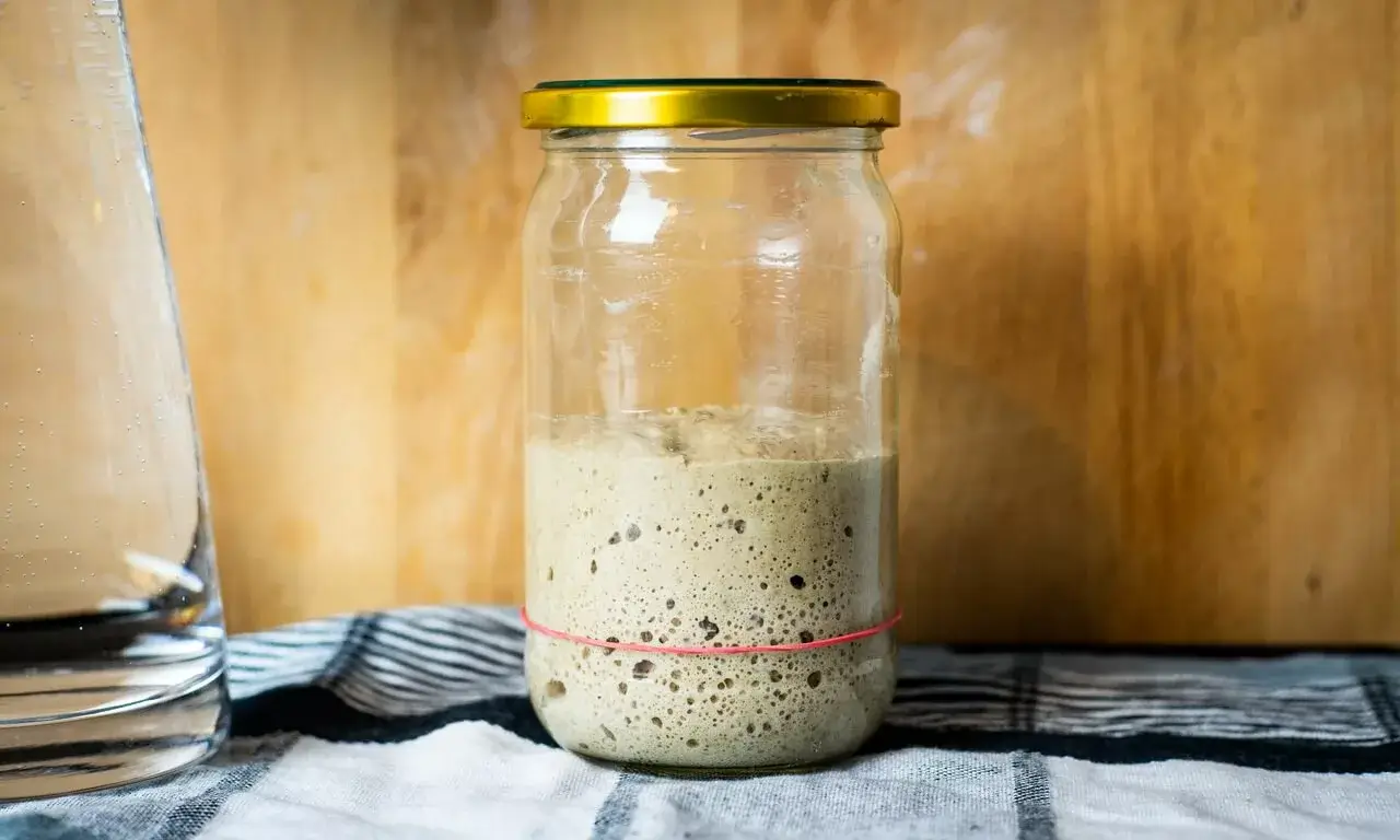 How To Maintain A Sourdough Starter