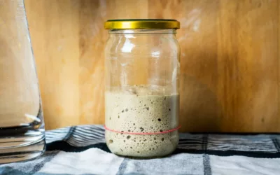 How To Maintain A Sourdough Starter