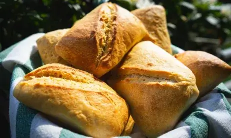 Easy To Make Bread Rolls