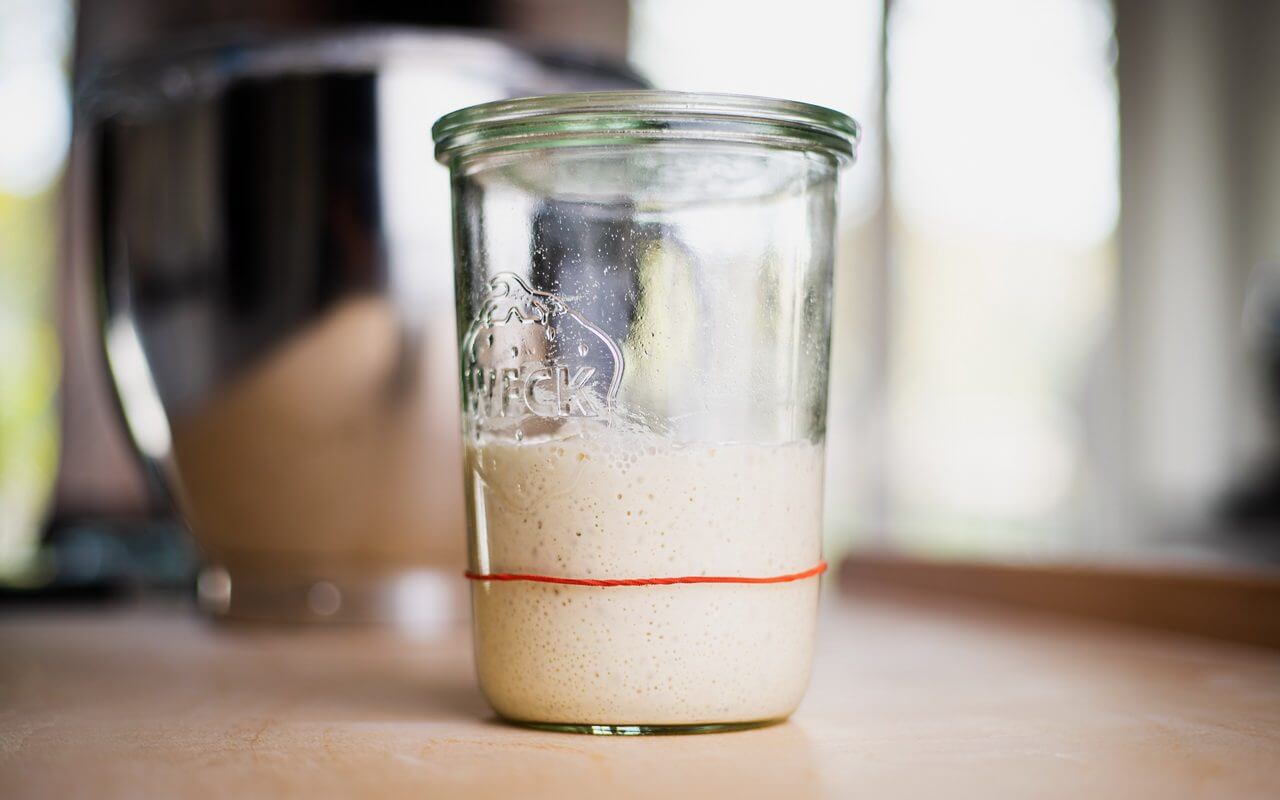 Sourdough Starter