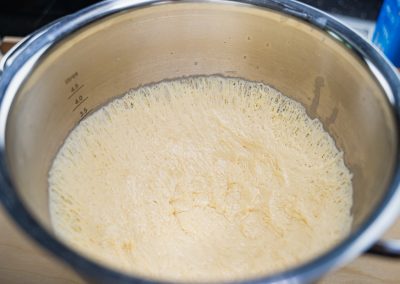 Little Fluffy Dinner Rolls Degassing