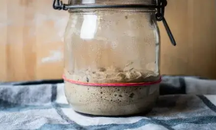 Sourdough Starter Smell: Key Health Indicators for Your Starter