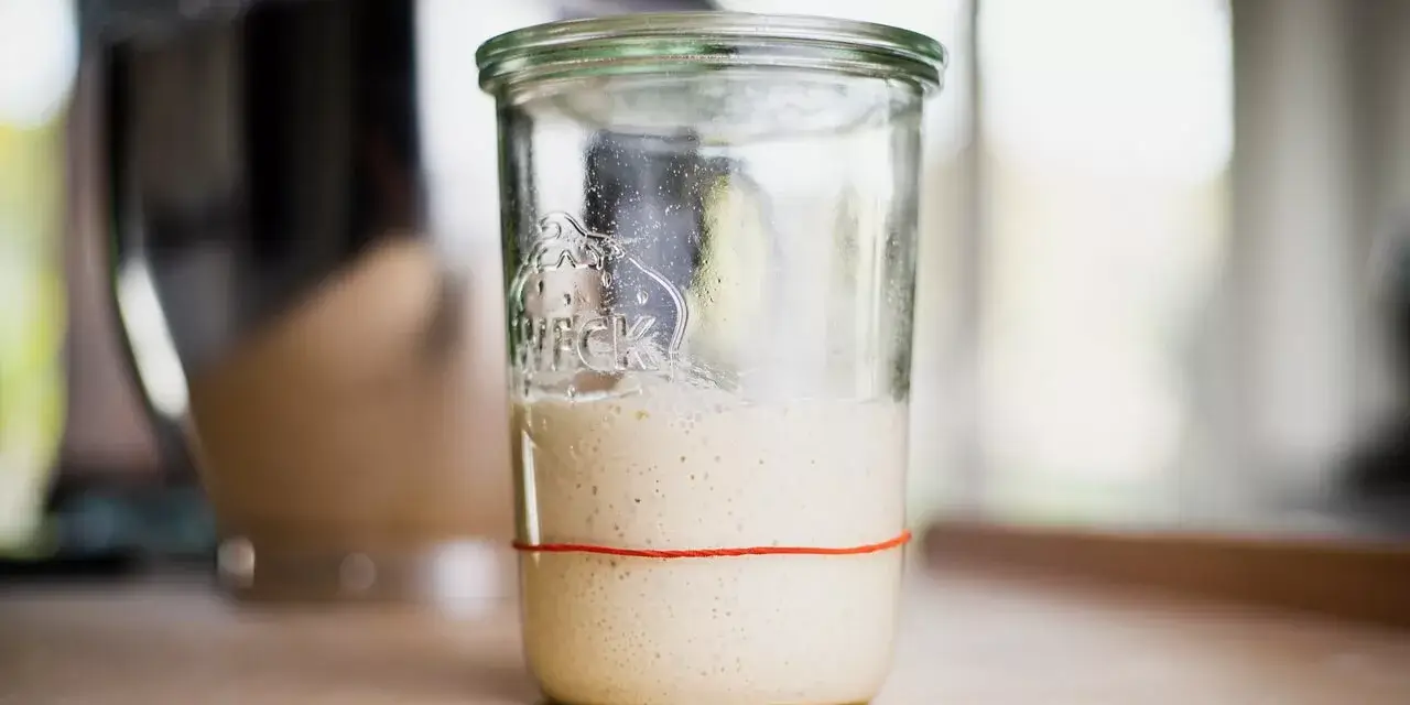 The Magic of Sourdough Discard: A Baker’s Secret Ingredient