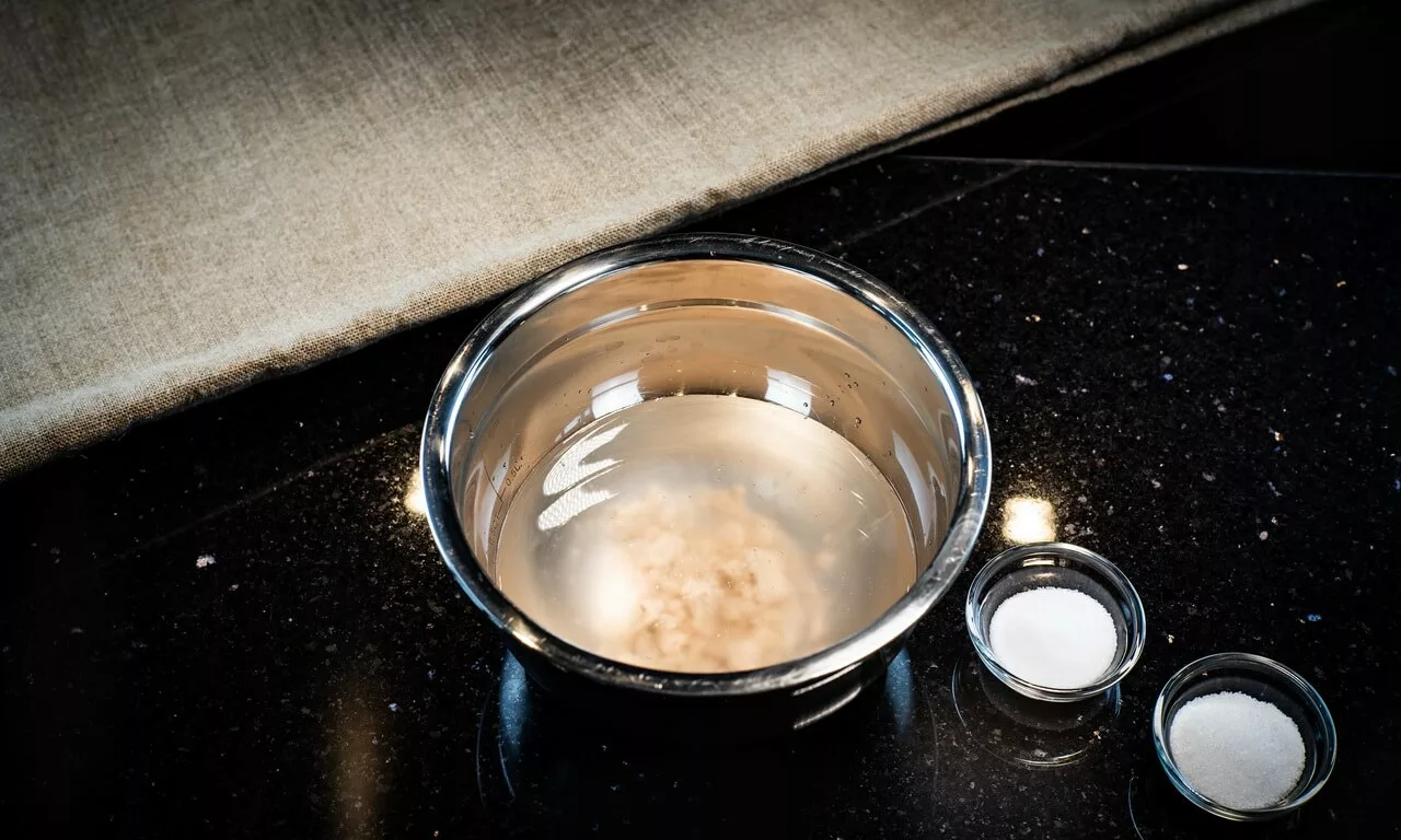 Decoding Baking: An In-depth Look at Different Types of Yeast