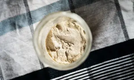 Sourdough Starter Problems How to Identify and Fix Them